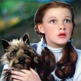 emerald-dorothy-and-toto-pl